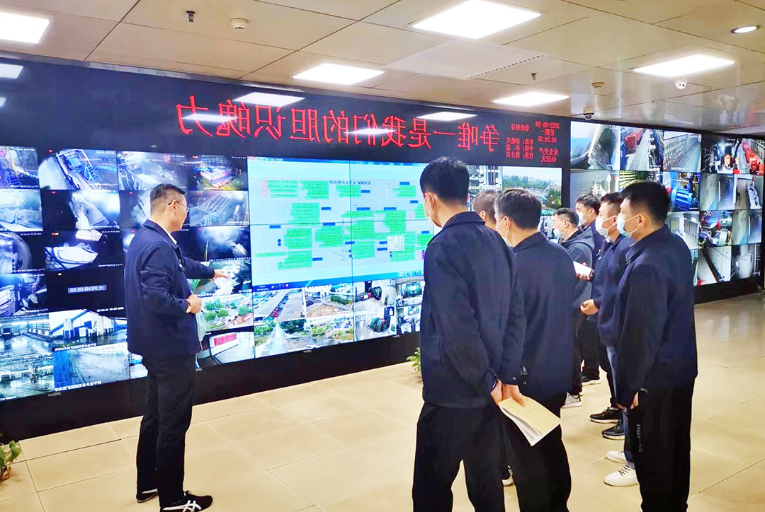 1654565667999197.jpg 03.jpg