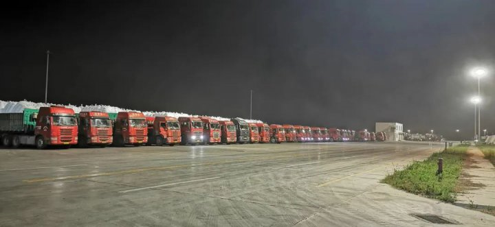 济州港区粮食产业园稳步推进夏粮收购