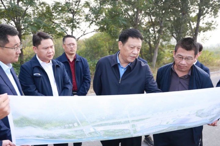 张广宇到顺达港调研指导工作