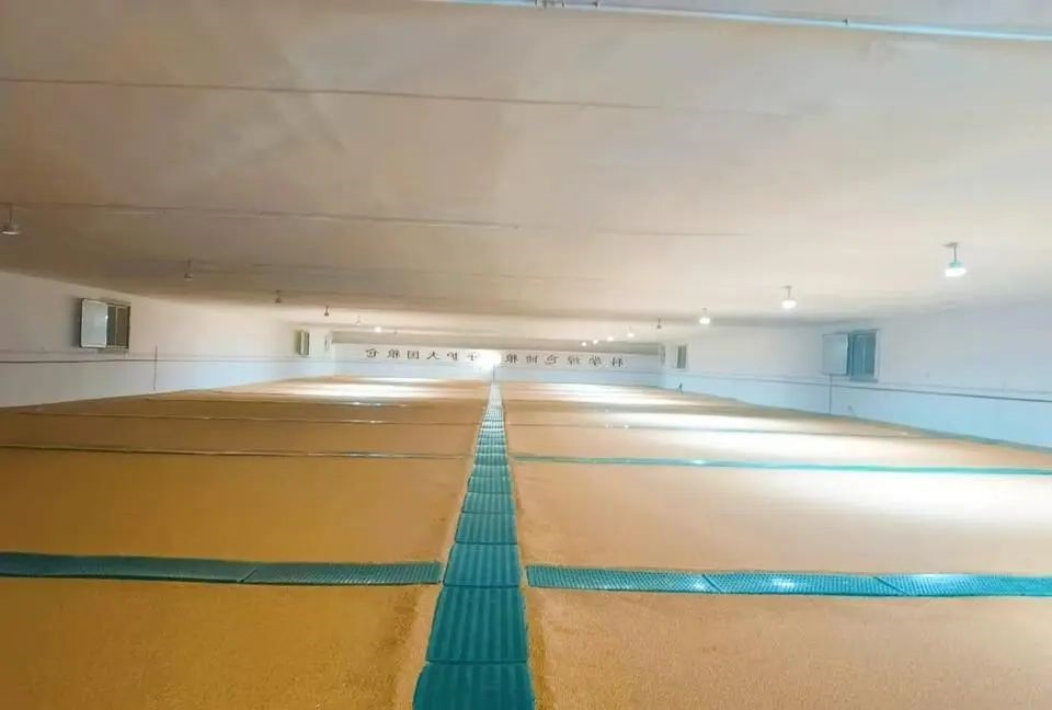 1731912370573527.jpg 0001.jpg