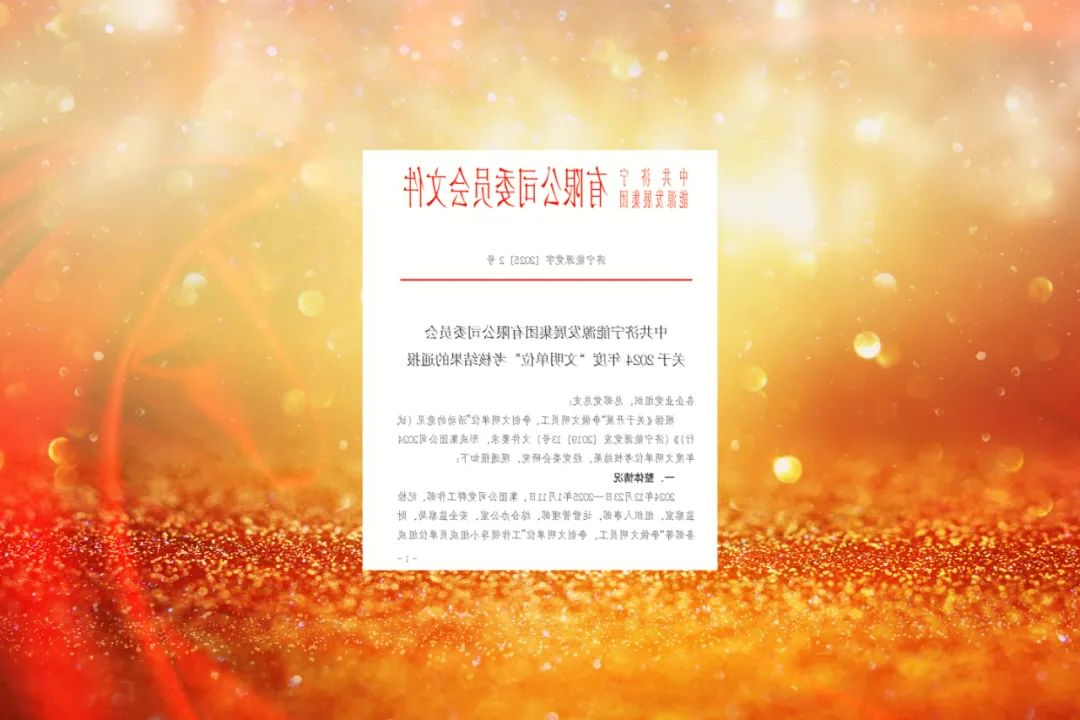 1737274818100844.jpg 0009.jpg