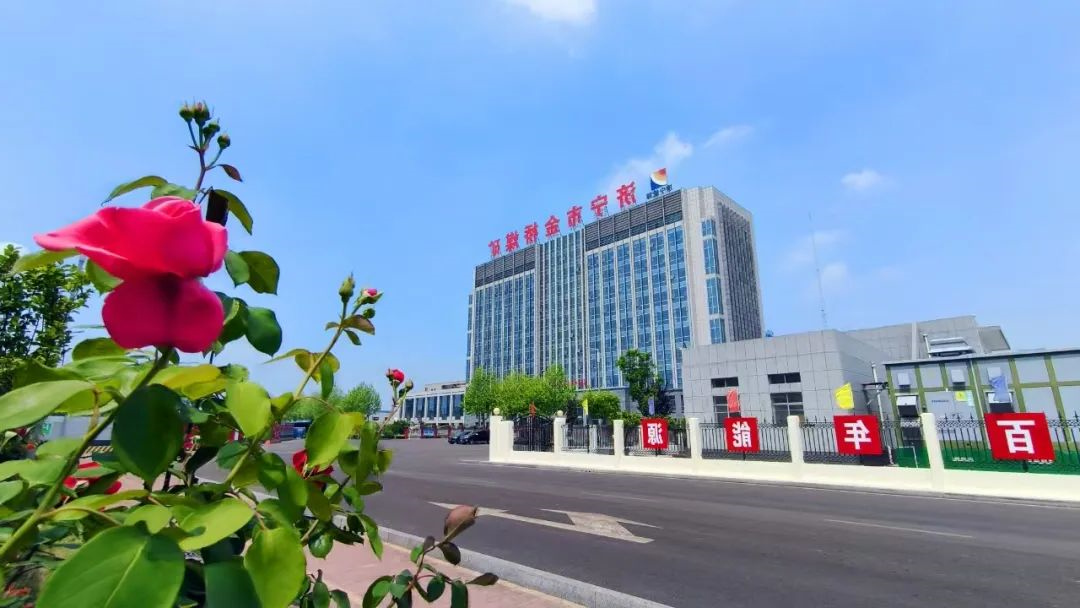 1737428835103732.jpg 0003.jpg