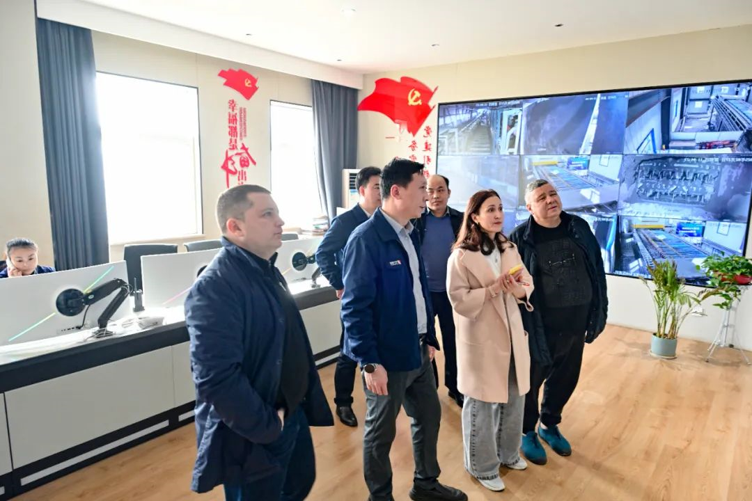 1740894909906894.jpg 0009.jpg